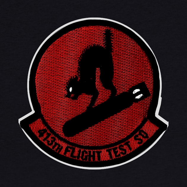 413th Flight Test Squadron Crest by Spacestuffplus